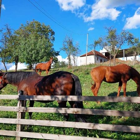 Poljoprivredno Turisticko Domacinstvo Deguric Apartman Valjevo Kültér fotó