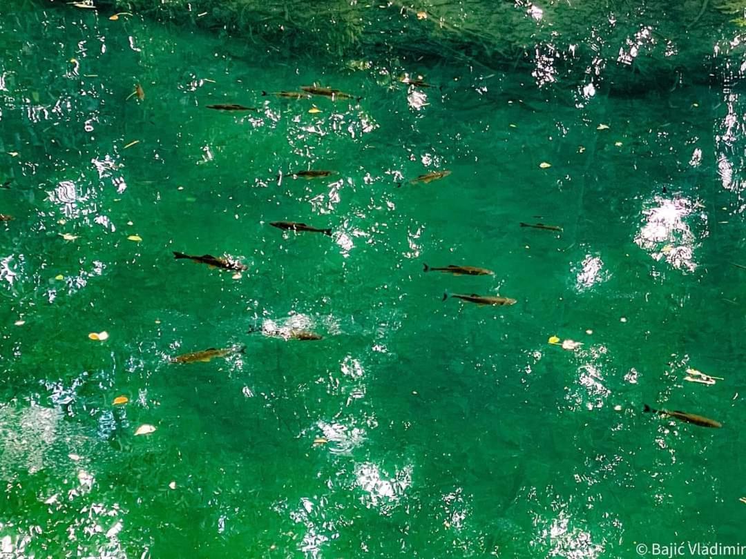 Poljoprivredno Turisticko Domacinstvo Deguric Apartman Valjevo Kültér fotó