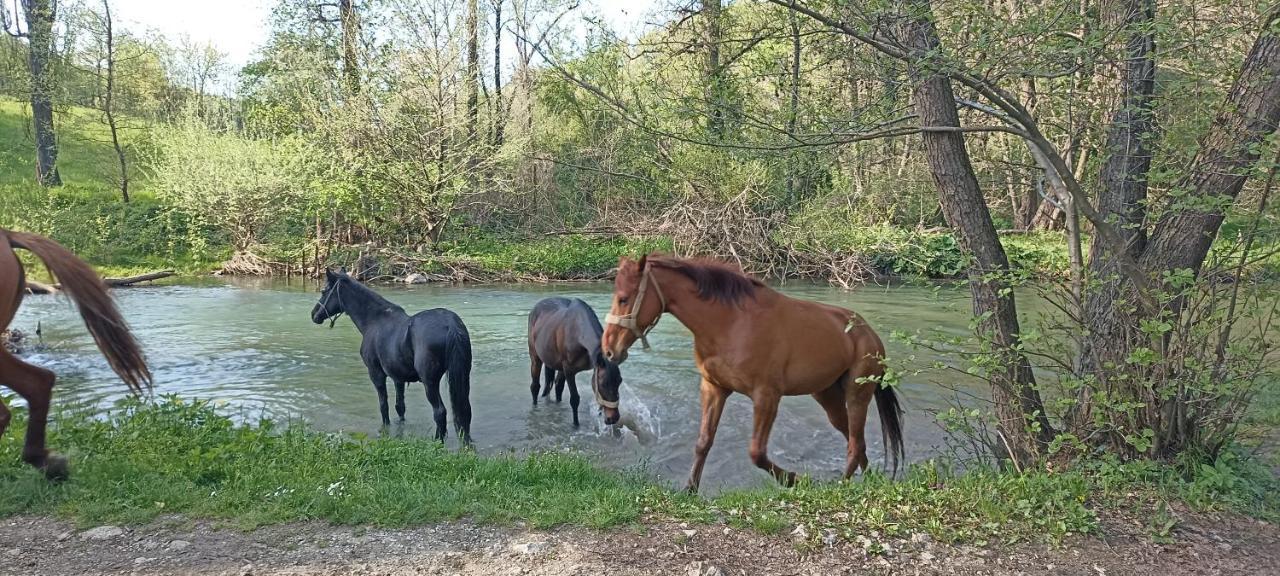 Poljoprivredno Turisticko Domacinstvo Deguric Apartman Valjevo Kültér fotó
